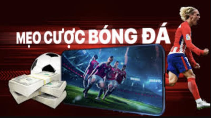 Hiểu Đúng Về Việc Chọn Kèo Bóng Đá Tại BK8