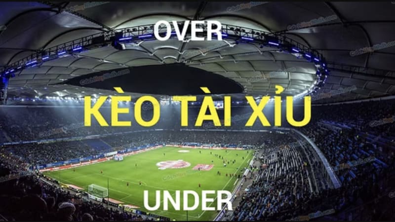 Kinh nghiệm soi kèo Tài Xỉu "bất bại" từ chuyên gia