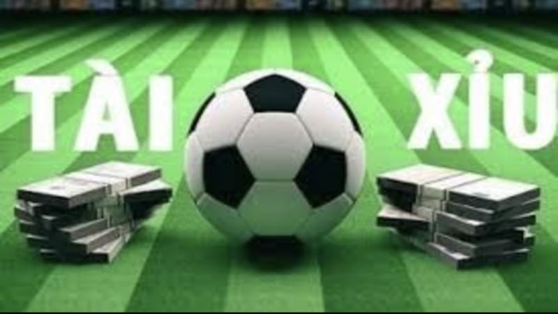 Hướng dẫn cách xem kèo tài xỉu bóng đá chi tiết các tỷ lệ phổ biến