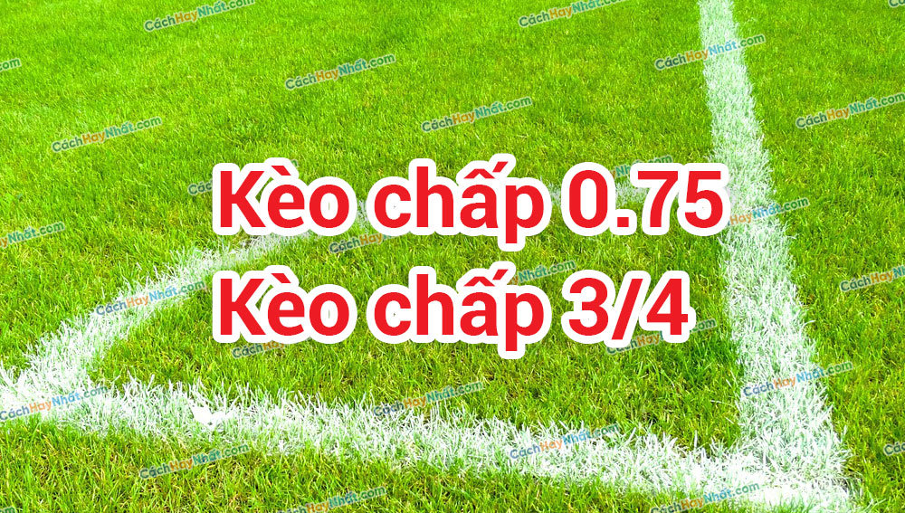 Kèo Nhà Cái 0.75 Là Gì? Mẹo Soi Tỷ Lệ Chấp 3/4 Chuẩn