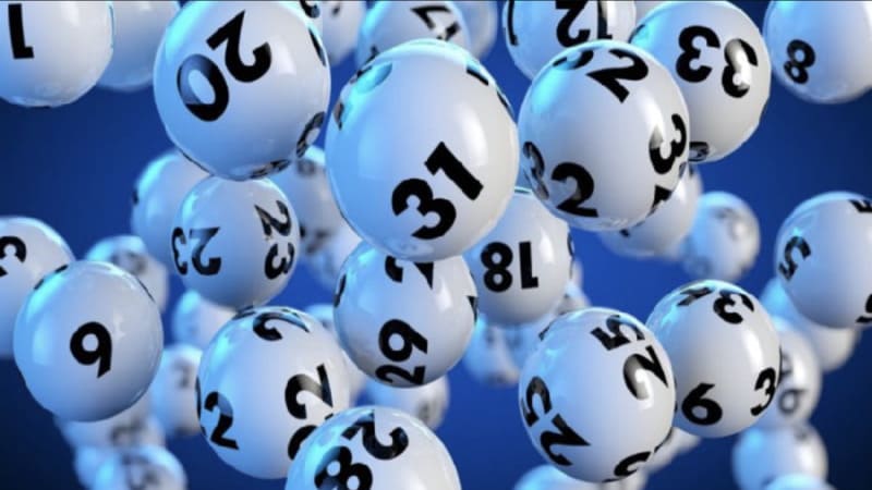 Lô Gan Là Gì? Tại Sao Cần Có Phương Pháp Nuôi Hợp Lý?